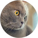 Nara Muñoz profile picture