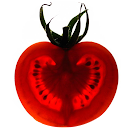 Marc Valldeperes profile picture