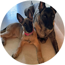 Daniel profile picture