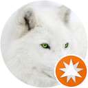 Carlos Marí Ribas profile picture