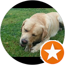 Tatiana Reichert profile picture