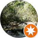 Maximo Tiger profile picture